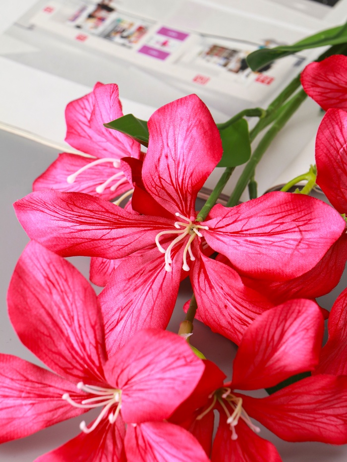 Цветы искусственные «Баухиния пёстрая», d=13 см, h=71 см, малиновые