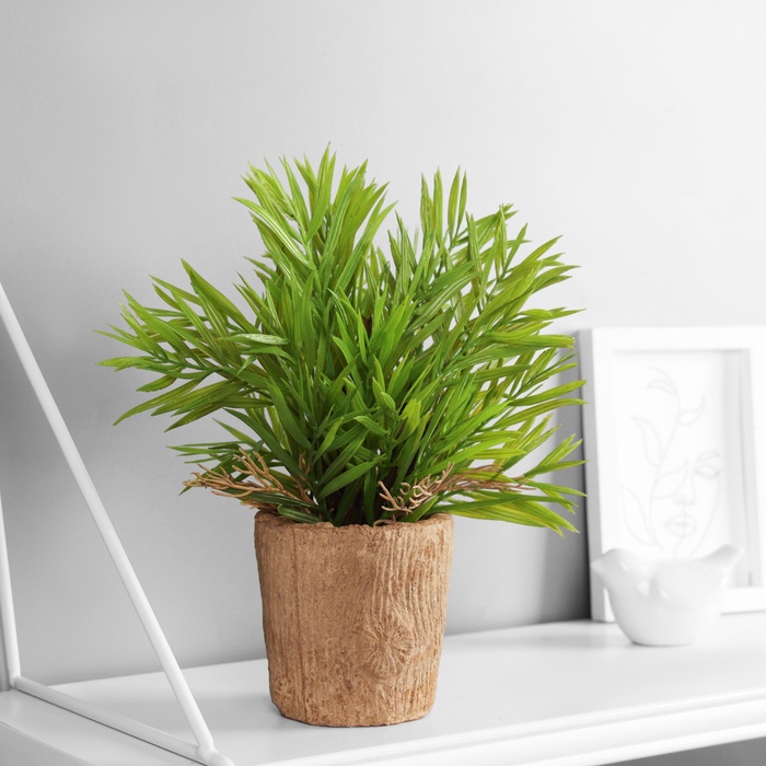 Искусственный цветок в горшке «Хамедорея экстра», 8×24 см, МИКС