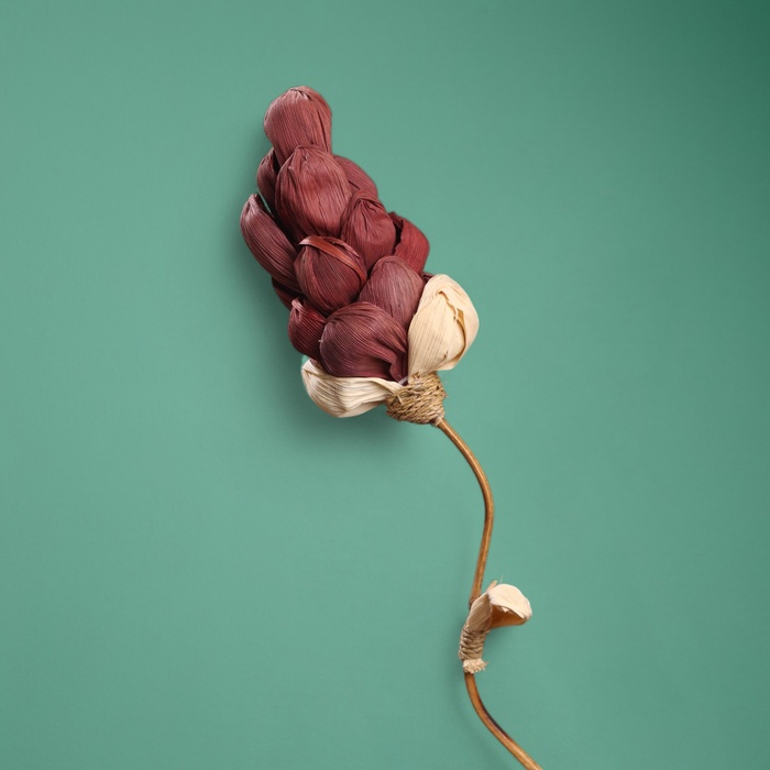 Сухоцвет на бамбуковом стебле, 150 см, фиолетовый