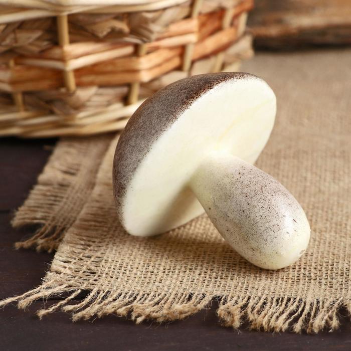 Муляж «Гриб белый», 8×8 см