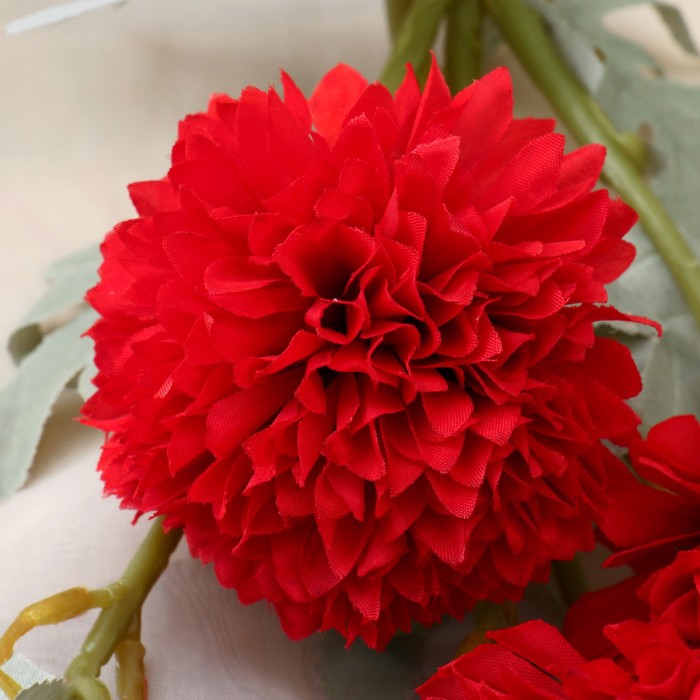 Цветы искусственные «Астра китайская Балун», h=77 см, красные