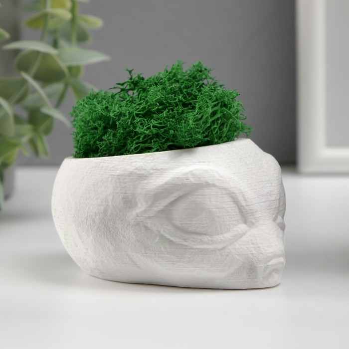 Стабилизированный мох в кашпо из бетона «Пришелец», высота 5 см, диаметр 6 см, белый