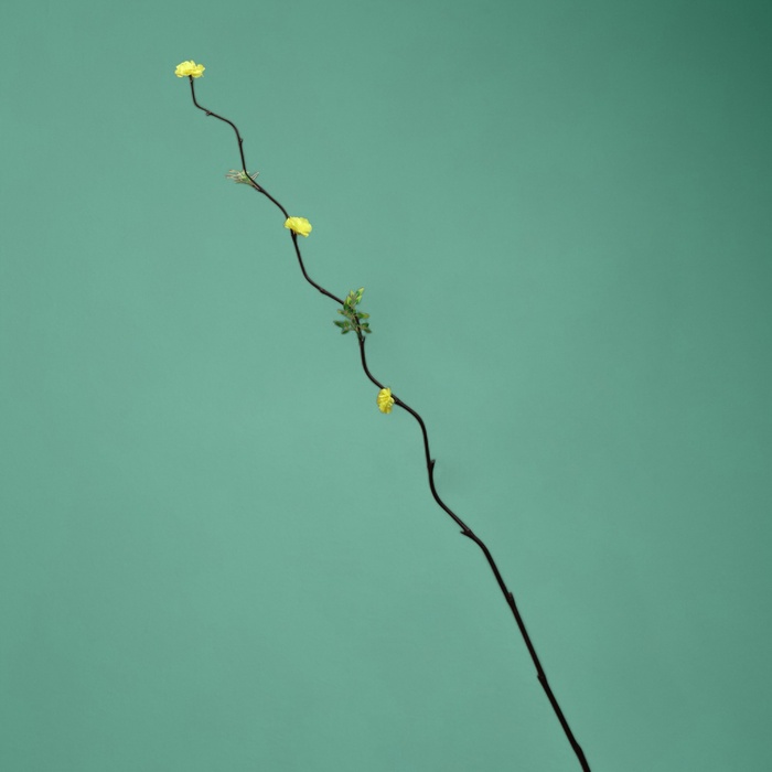 Интерьерный декор из бамбука, цветы пластик, 200 см, жёлтый