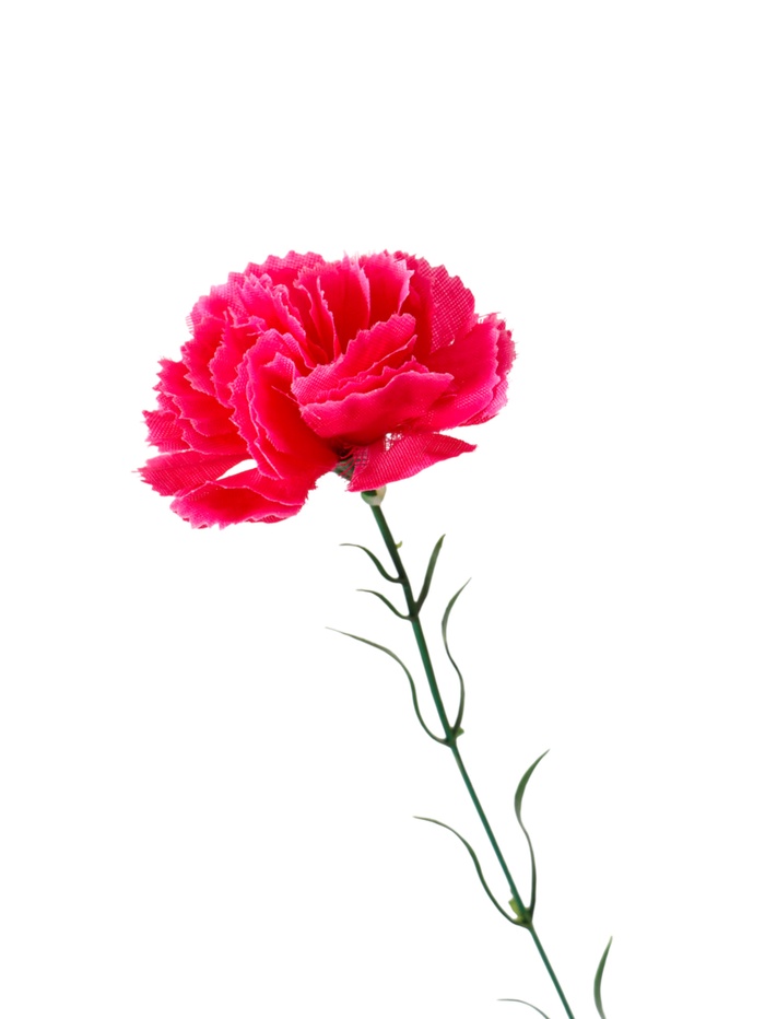 Цветы искусственные «Гвоздика розовая», h=40 см