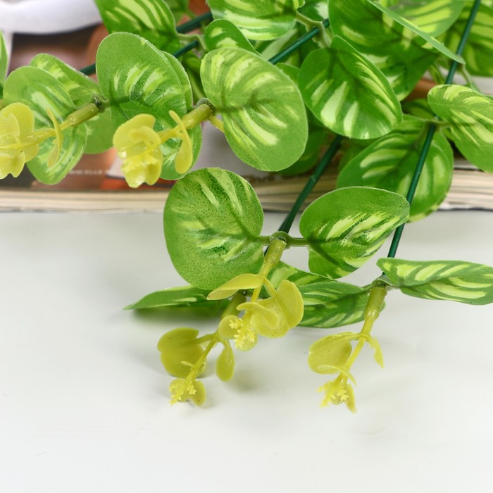 Букет искусственный «Кассия декоративная», h=29 см, МИКС