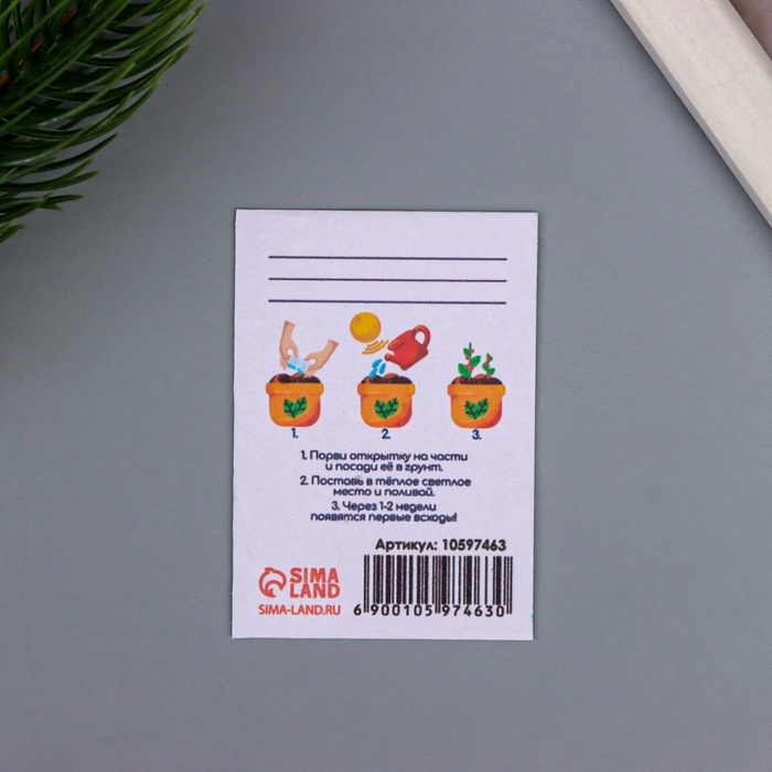 Открытка для выращивания «Арт Узор. Вырасти сам. Первокласснику» с семенами, 5×7 см