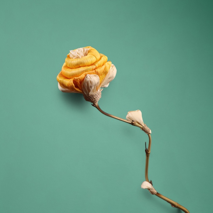 Сухоцвет на бамбуковом стебле, 150 см, оранжевый