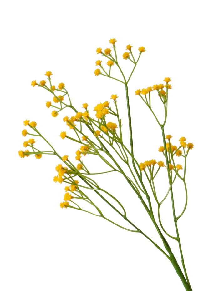Цветы искусственные «Ветка гипсофилы», 1×53 см, жёлтые