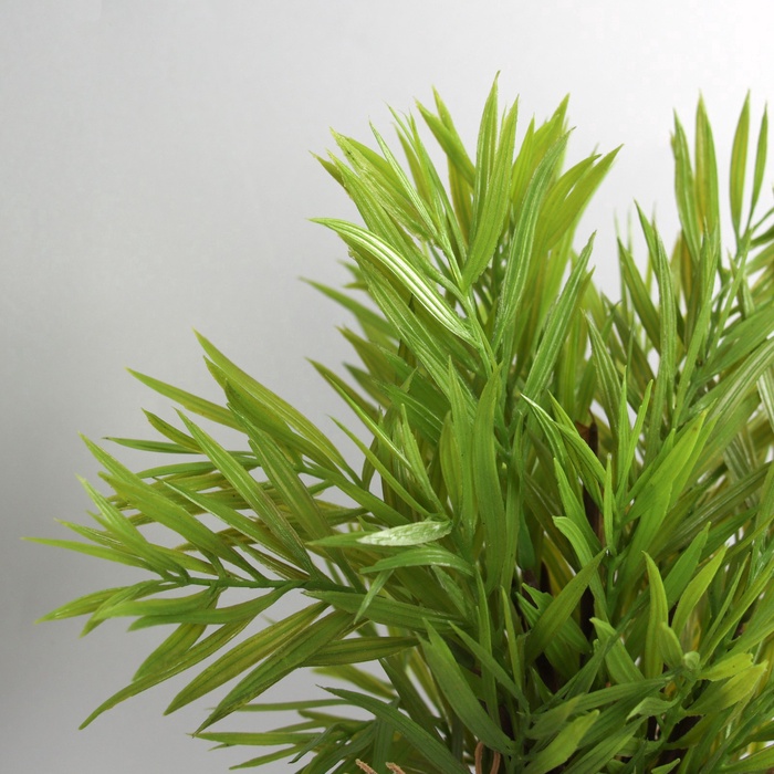 Искусственный цветок в горшке «Хамедорея экстра», 8×24 см, МИКС