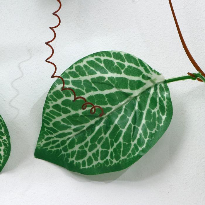 Лиана «Каладиум», 230 см, цена за 1 шт. (в упаковке 5 шт.)