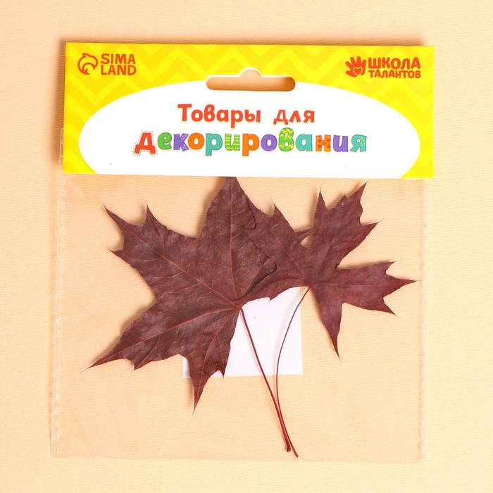 Сухие листья, набор 2 шт., размер 1 шт. — 5 × 7 см, клён