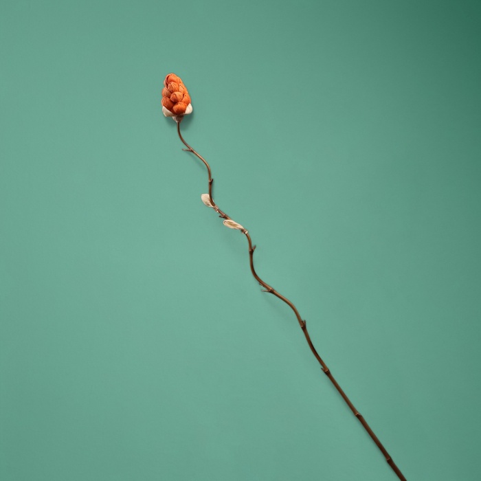 Сухоцвет на бамбуковом стебле, 150 см, коралловый