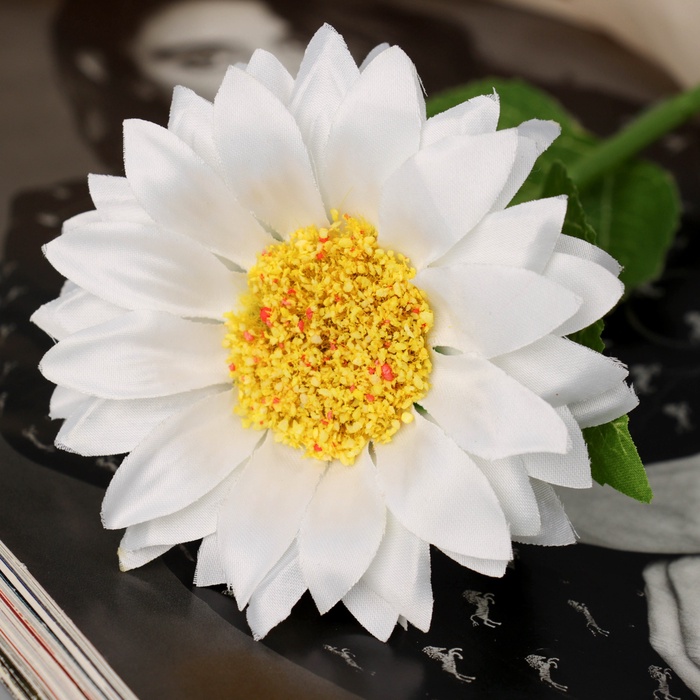 Цветы искусственные «Гербера шёлк галант», 45×9 см, белые