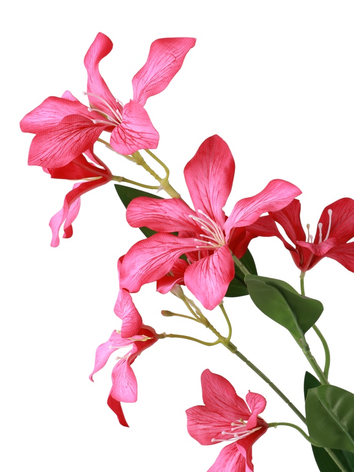 Цветы искусственные «Баухиния пёстрая», d=13 см, h=71 см, малиновые