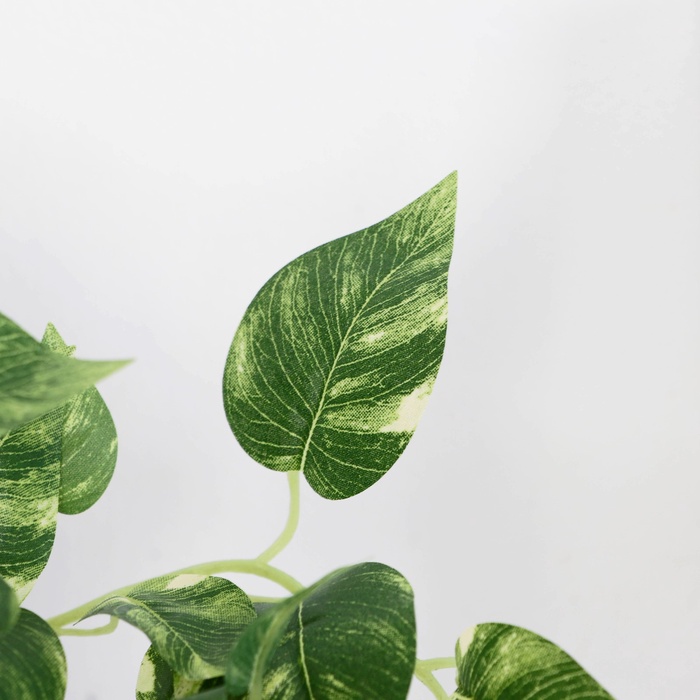 Искусственный цветок в горшке «Сциндапсус», 18×17 см