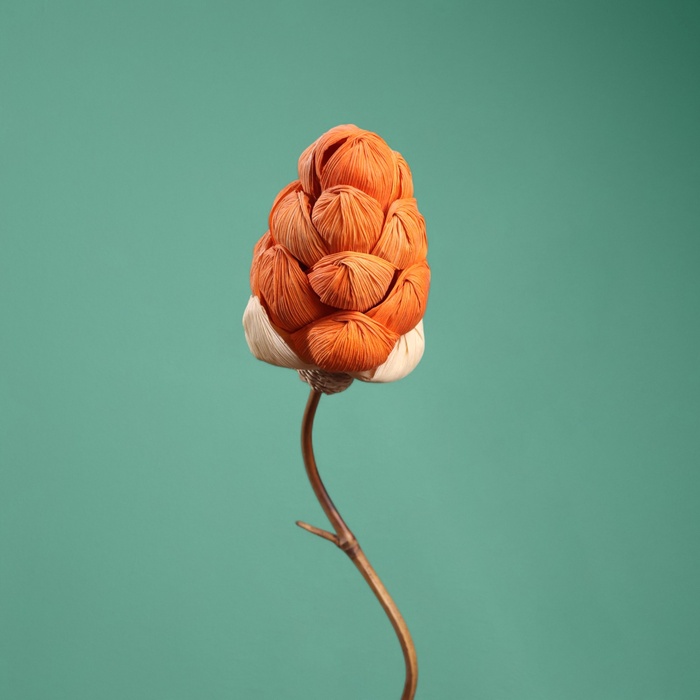 Сухоцвет на бамбуковом стебле, 150 см, коралловый