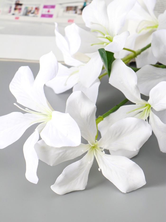 Цветы искусственные «Баухиния пёстрая», d=13 см, h=71 см, белые