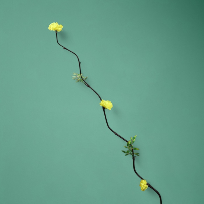 Интерьерный декор из бамбука, цветы пластик, 200 см, жёлтый