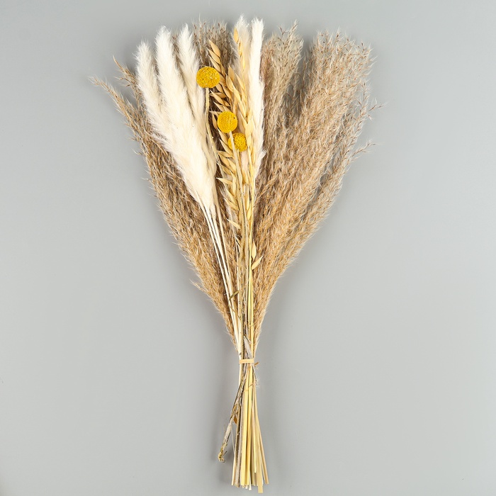 Сухоцветы «Сказка», набор из 4 видов, 48×16×6 см