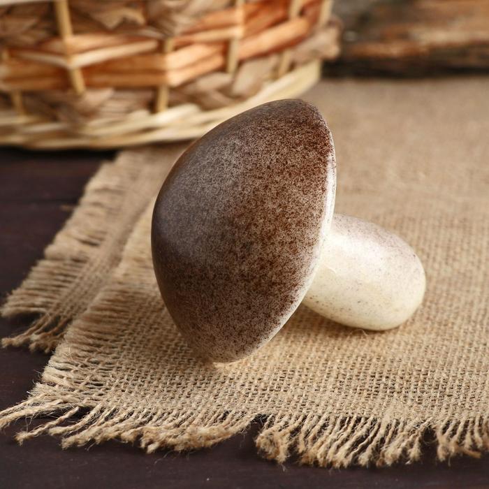 Муляж «Гриб белый», 8×8 см