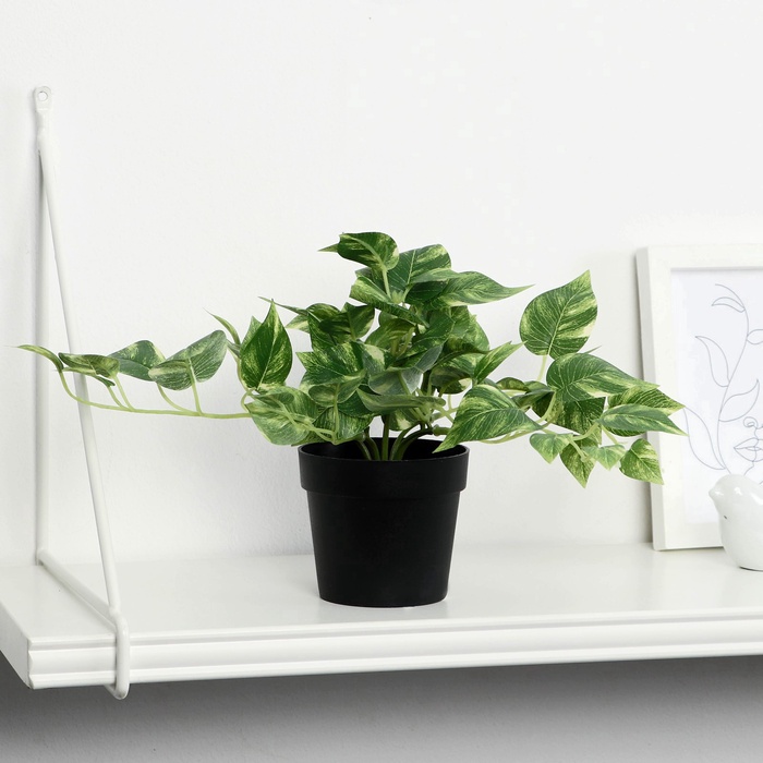 Искусственный цветок в горшке «Сциндапсус», 18×17 см