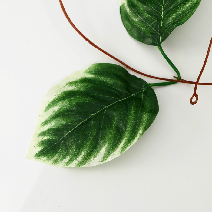 Лиана искусственная «Калатея полосатая», 230 см