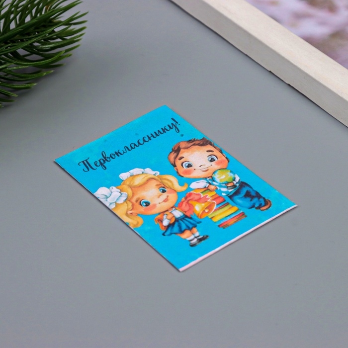 Открытка для выращивания «Арт Узор. Вырасти сам. Первокласснику» с семенами, 5×7 см