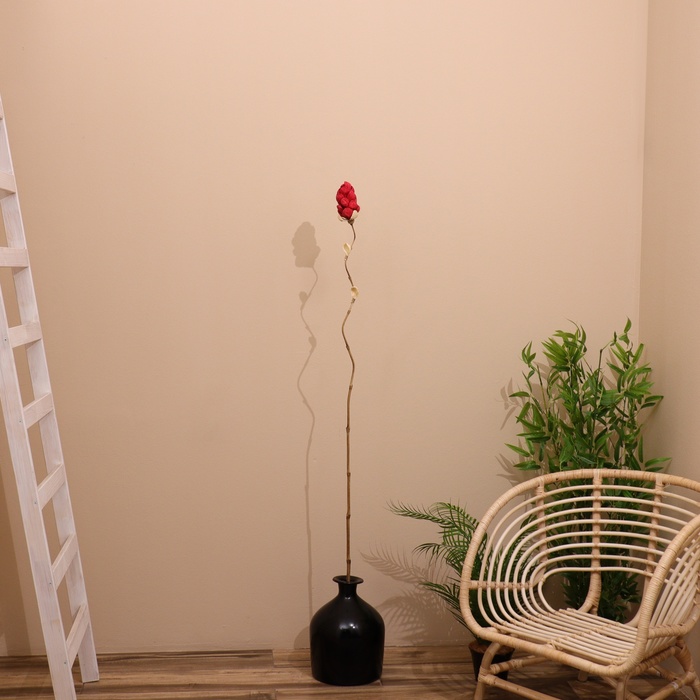 Сухоцвет на бамбуковом стебле, 150 см, красный