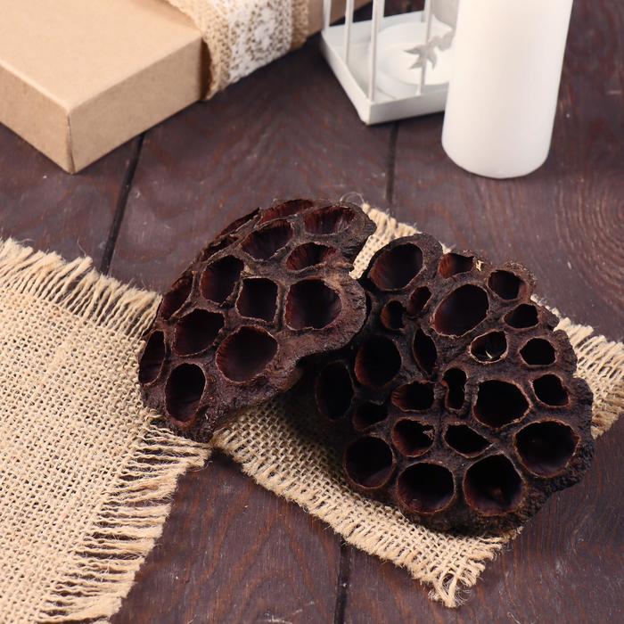 Декор сухоцвет «Лотос», d=8-11 см, коричневый