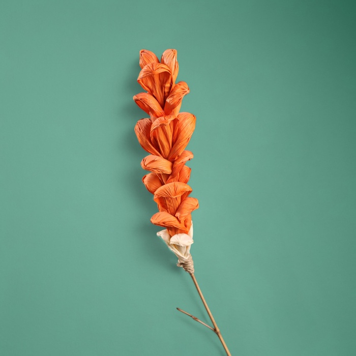 Сухоцвет на бамбуковом стебле, 150 см, коралловый