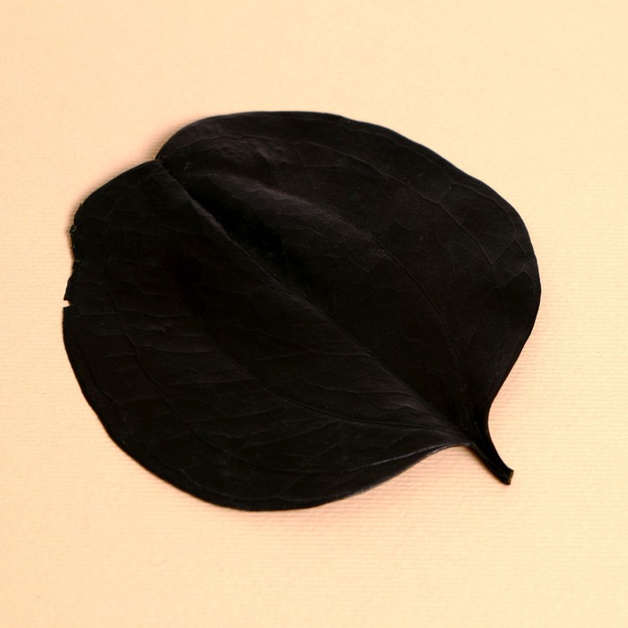 Сухие листья, набор 2 шт., размер 1 шт. — 6.5×7 см, чёрные