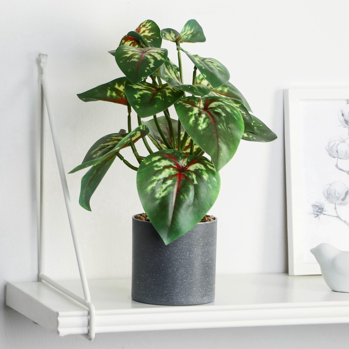 Искусственный цветок в горшке «Сингониум», 9×25 см