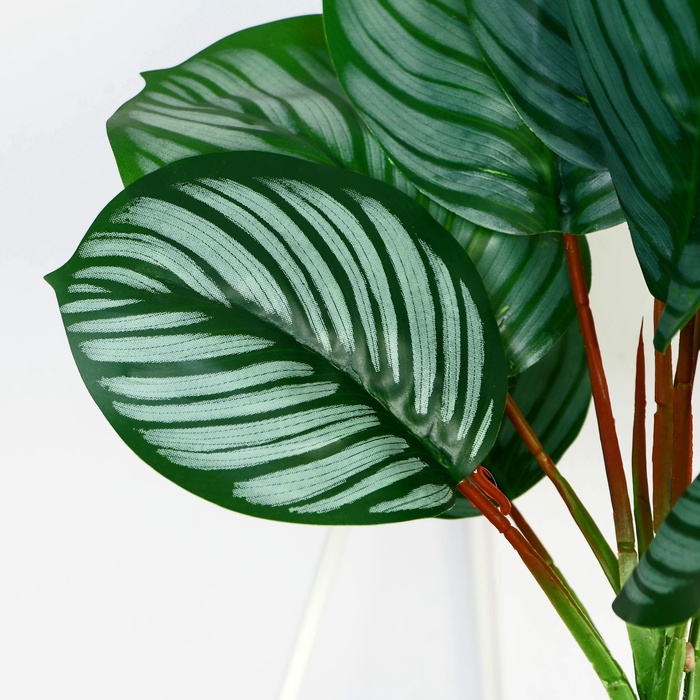 Искусственный цветок в горшке «Калатея», 9×30 см