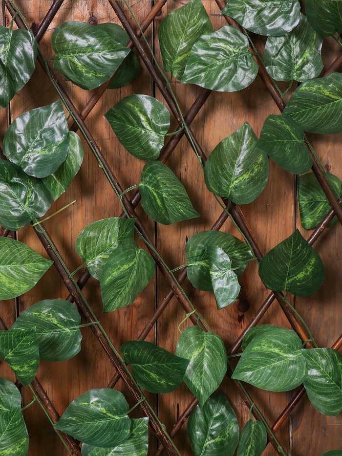 Ограждение декоративное «Лист берёзы», 120×70 см, Greengo