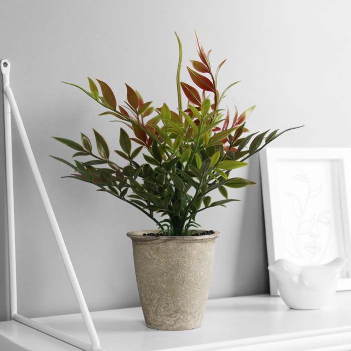 Искусственный цветок в горшке «Хамедорея эстра», 22×8.5 см, МИКС