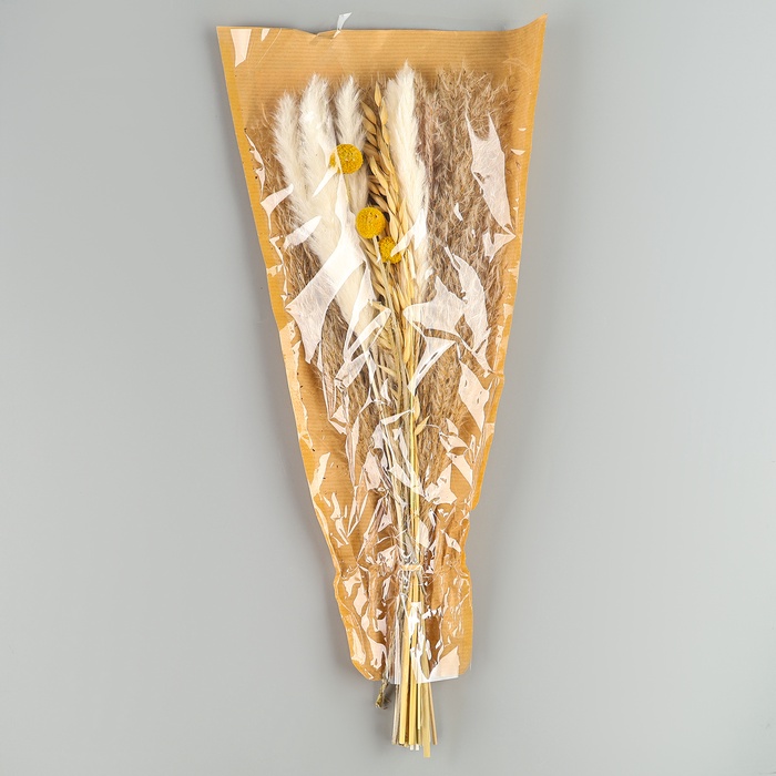 Сухоцветы «Сказка», набор из 4 видов, 48×16×6 см