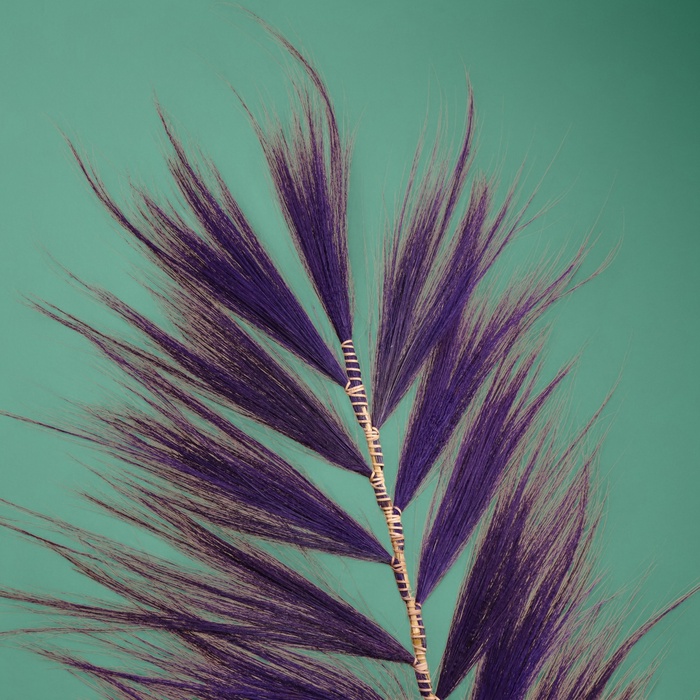 Сухоцвет на бамбуковом стебле, 250 см, фиолетовый