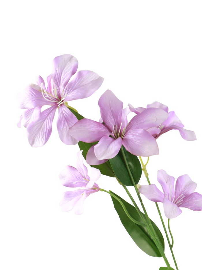 Цветы искусственные «Баухиния пёстрая», d=13 см, h=71 см, сиреневые