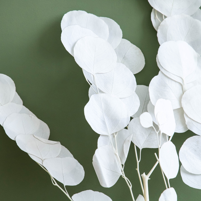 Сухоцвет персикового дерева, 50 г, длина — 70 см, белый