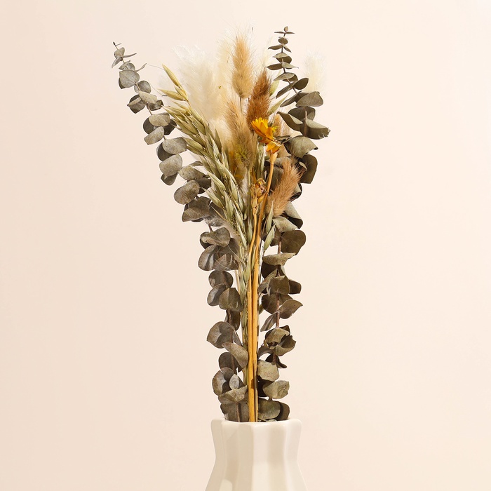 Сухоцветы «Изумление», набор из 5 видов, 48×16×6 см