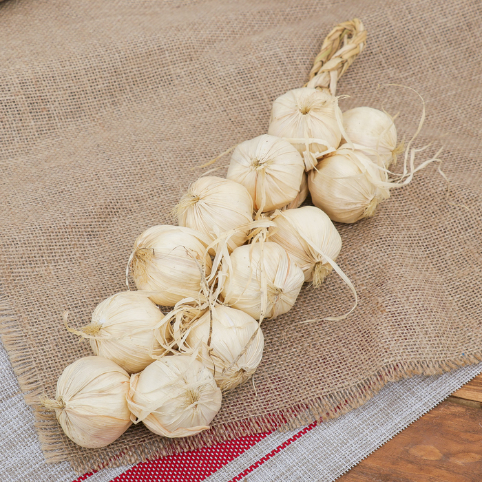 Муляж «Связка чеснока», 40 см, 12 головок