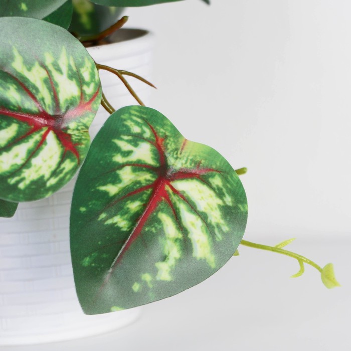 Искусственный цветок в горшке «Сингониум ред», 9×17 см