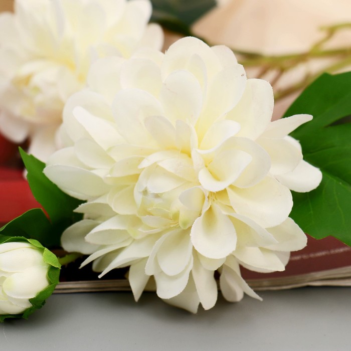 Цветы искусственные «Георгин пионовидный», d=5 см, h=69 см, белые