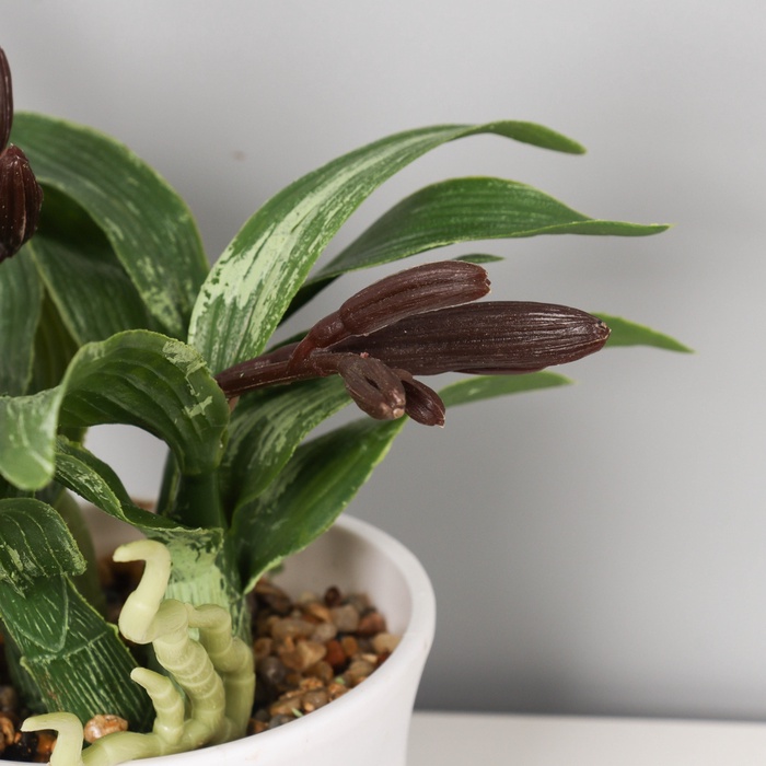 Искусственный цветок в горшке «Ирис мини галант», 11×19 см, МИКС