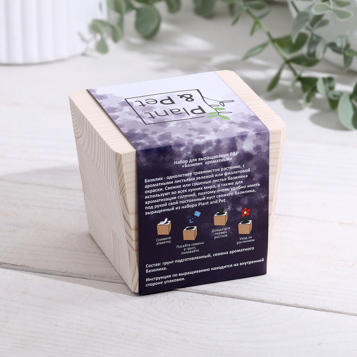 Набор для выращивания P&P «Базилик ароматный», в кубе из дерева