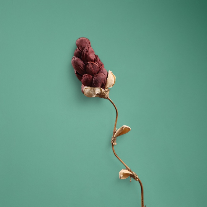 Сухоцвет на бамбуковом стебле, 150 см, фиолетовый