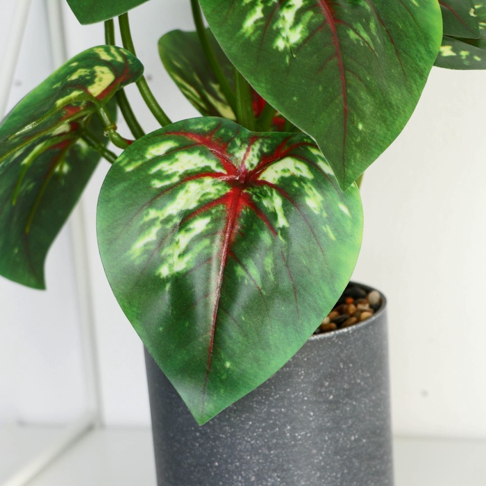 Искусственный цветок в горшке «Сингониум», 9×25 см