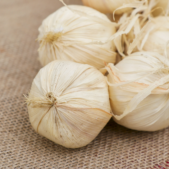 Муляж «Связка чеснока», 40 см, 12 головок
