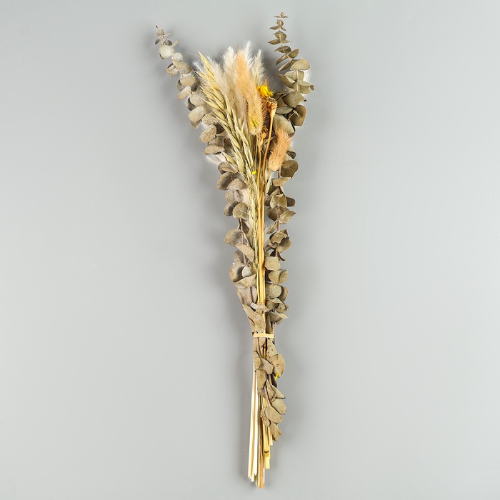 Сухоцветы «Изумление», набор из 5 видов, 48×16×6 см