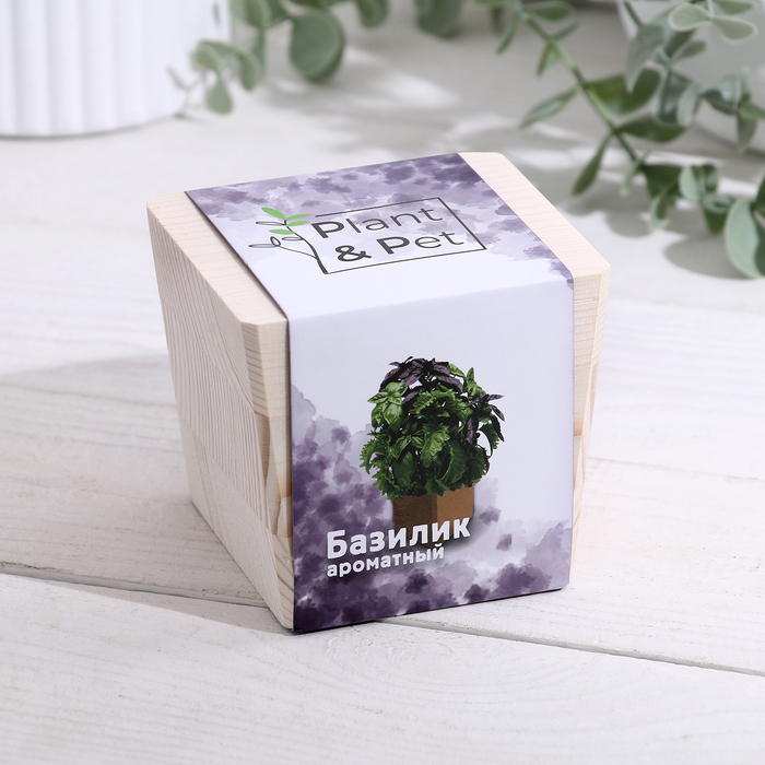 Набор для выращивания P&P «Базилик ароматный», в кубе из дерева